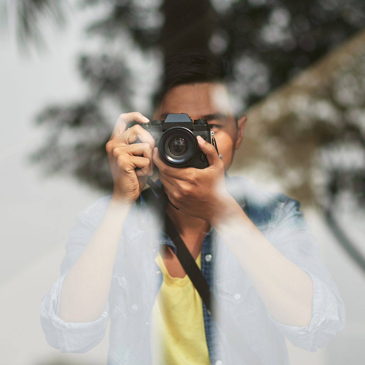 Fotografía profesional, publicación y difusión.